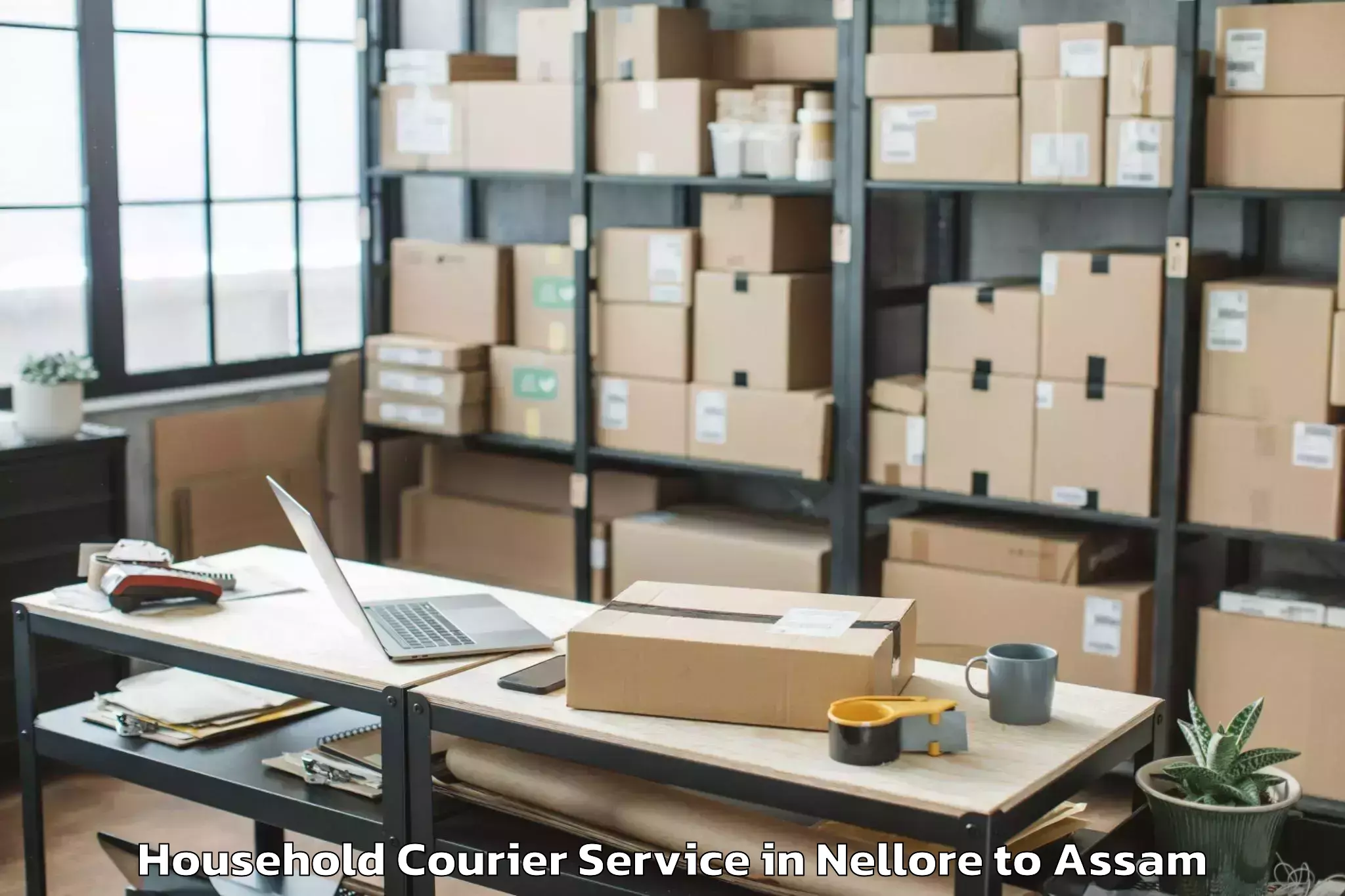 Professional Nellore to Gauripur Household Courier